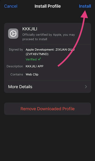 🌷Step 4: Open the app profile > press install.